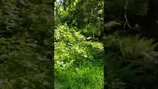 Welcome to Salt Spring Island