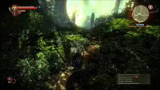 The Witcher 2 ULTRA settings 1080p