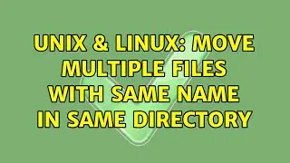 Unix & Linux: Move multiple files with same name in same directory (2 Solutions!!)