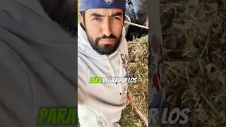 #composta #compostaje #compost #degradable #degradar #pasto #hierba #compostar #organicos #huerto