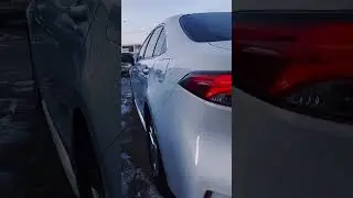 Обзор на Toyota Levin от Дениса