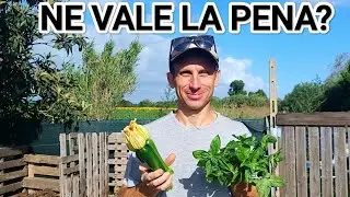 Save money growing your own food? Yes, but it needs time