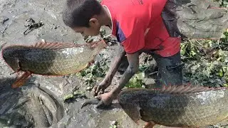 Catch Fish From Field | Fishing Exciting | Use A Large Capacity Pump |Catch Many Of Fish In The Lake