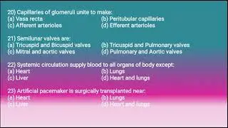 Human Circulatory System MCQs & Short Questions | Quick Revision