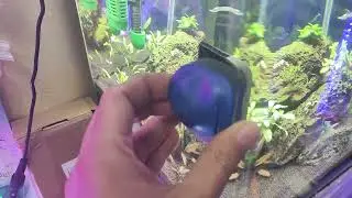 Скребок магнитный малый Tetra Magnet Cleaner Flat S