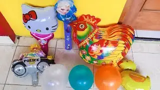 menemukan balon karakter frozen, hello kitty, mobil polisi, bebek, ayam