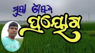 Vlog on Insecticide apply in rice field
