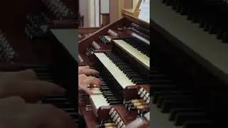 Johannes BRAHMS (1833&ndash;1897): Complete Organ Works #teaser
