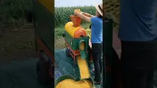#reels #youtube #harusberanda #funny #fyourpage #reels #shortvideo #shorts #corn #farm #modern