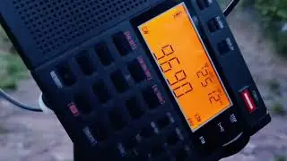 Um giro no dial | Ondas Curtas | TECSUN PL330