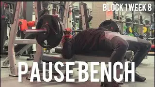 Pause Bench | For A stronger bench press 