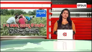 With No Cold Storage Units, Farmers Face Difficulties In Balangir