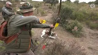 Jornada de caza a la perdiz con los campeones y subcampeones de Espa&ntilde;a | Cazadores de lances