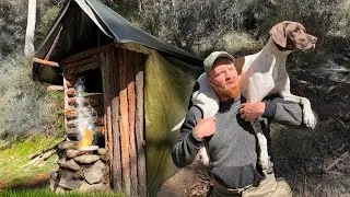 2 DAYS Solo Hunt & Survival with my Dog (NO FOOD, NO WATER) Catch and Cook