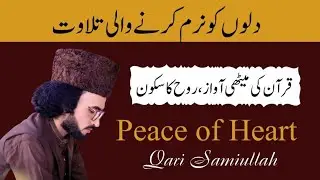 Peace of Heart | Beautiful Quran Recitation | Soft Voice That Calms the Soul
