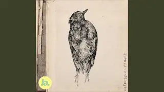 Vardøger