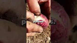 HOA Карен велела мне покинуть мой собственный бассейн, поэтому мне пришлось слить его перед ее го...