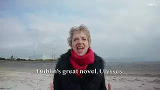 For Dublin Bay, Vote Ivana Bacik #1 in Dublin Bay South