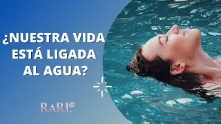 El gran mensaje del AGUA de Masaru Emoto