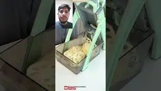 Unique Potato Cutting Tool | Advanced Automation in Food Processing | Made in USA & Europe