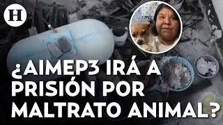 &iquest;Enterr&oacute; a su perrita en una cubeta con cemento? Internautas exigen justicia por caso de AimeP3