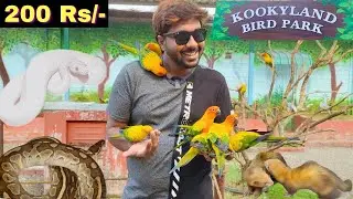 KOOKYLAND EXOTIC bird park | 200RS ல python ஓட photos எடுக்கலாம் |