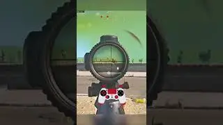 The 