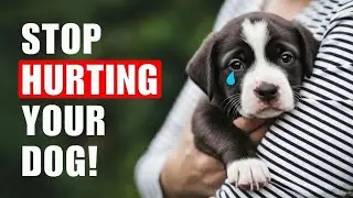12 EVERYDAY Things That HURT Your Dog&rsquo;s FEELINGS