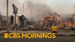 Lasting psychological impacts of natural disasters on survivors