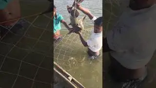 He planned to break the measurement of such a big fish hanging in the net #fishhunting2