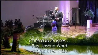 Planted to Prosper... Sunday Morning Worship Rev. Joshua Ward