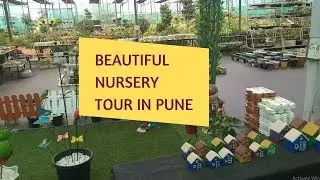 Nursery Tour in Pune, Biggest nursery in Pune for all your gardening needs
