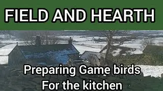 From Field to kitchen partridge and pheasant butchery for beginners. 