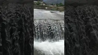 Swat natural beauty❤️ #love #music #bollywood #shortvideo #swat #trending #ytshorts #shorts