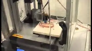 Dispensazione  Dispensing