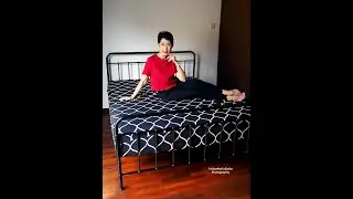 ZINUS Mattress & Platform Bed Frame Review