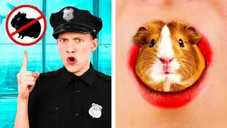 Как Пронести Домашних Животных в Самолёт | Смешные Ситуации и Неудачи от TeamTeen Challenge
