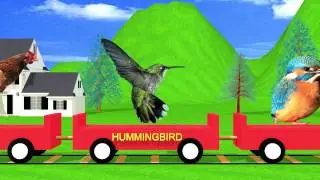 Bird Train Easy Learning for Kids | HD Animation