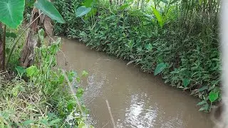 Mancing ikan di selokan irigasi persawahan