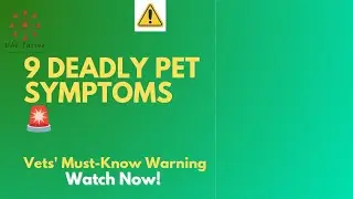 9 Deadly Pet Symptoms Vets Warn About (Watch Before It's Too Late!)