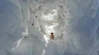 Mr Acorn, in the white tunnel of winter #mracorn #domnulghinda #fairytalelandscape