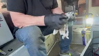 Episode 15. Trying to sort bilge pump and start cleaning 