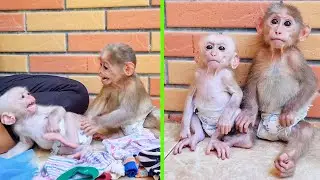 Mommy Leaves Them Two To Rational Of His Mistake Of F@ghting, But Unbelievable In The End