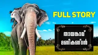 തോൽവിയിലും തല ഉയർത്തി മടങ്ങിയ തായങ്കാവ് മണികണ്ഠൻ | Thayankavu Manikandan | R4 MEDIA