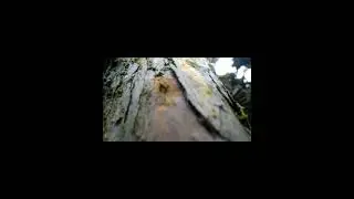 SOLO CAMPING SOLO HIKING @kangron7767 REALISTIC ( BUSET - BENDA ITU HIJAU ? ) alam yang INDAH sekali