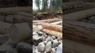 Day 31 #sharingsurvival #bushcraft #logcabin #offgrid #outdoor #building