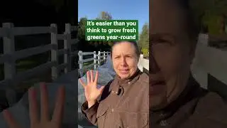 It&rsquo;s easier than you think to grow fresh greens year-round