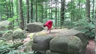 Yoga  im Wald