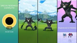 THE SECRETS OF JUNGLE『COCO』 SEARCH FOR ZARUDE! SPECIAL RESEARCH ||POKEMENIA ||POKEMON GO