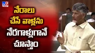 నేరాలు చేసే వాళ్లను నేరగాళ్లుగానే చూస్తాం : CM Chandrababu | AP Assembly 2024 - TV9